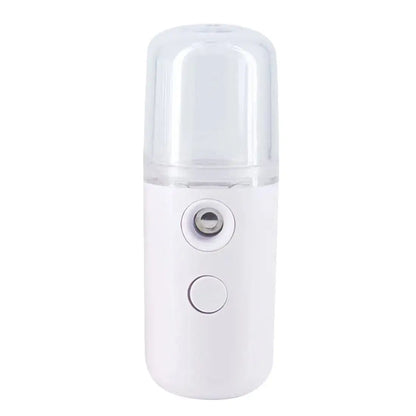 Mini Facial Steamer